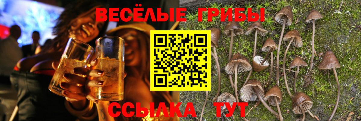 Тула  Псилоцибиновые грибы мухоморы  купить   Вход с VPN 