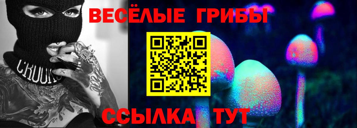 Псилоцибиновые грибы GOLDEN TEACHER Тула